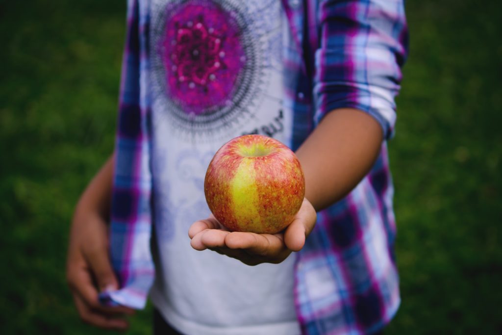 hand holding apple