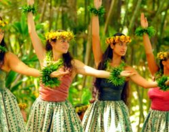 Source: Google+: Hula in Hawaii